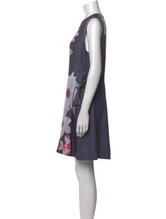 Ted Baker Floral Print Mini Dress