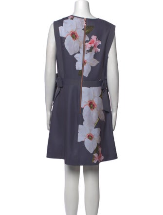 Ted Baker Floral Print Mini Dress