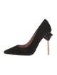 Ted Baker Suede Pumps