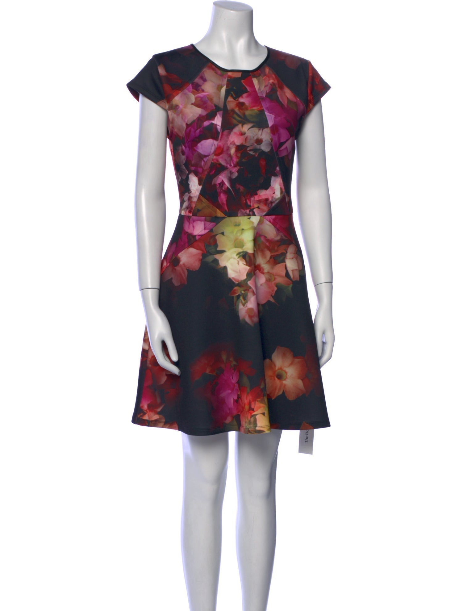 Ted Baker Floral Print Mini Dress