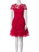Ted Baker Lace Pattern Mini Dress