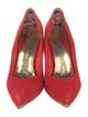 Ted Baker Suede Pumps