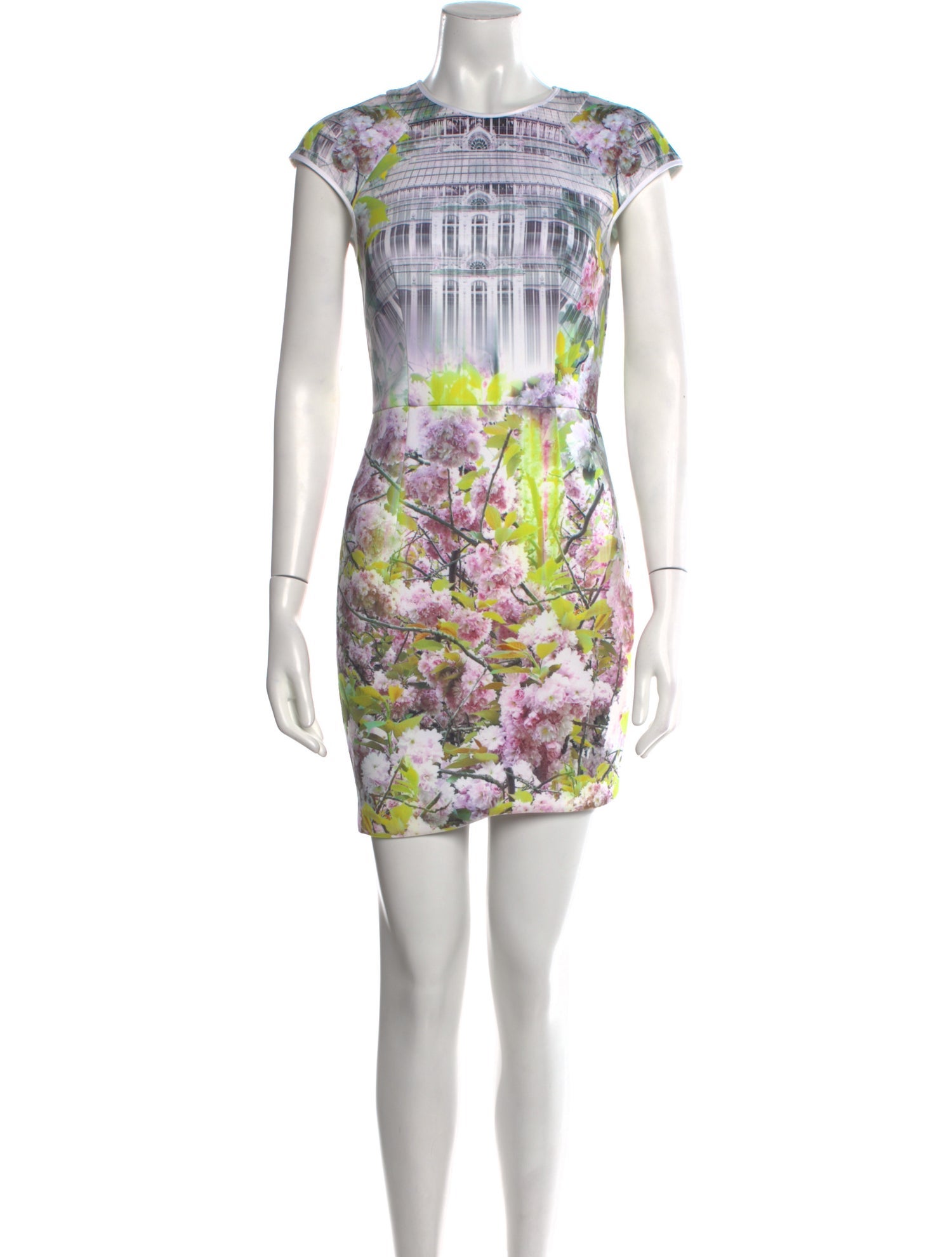 Ted Baker Floral Print Mini Dress