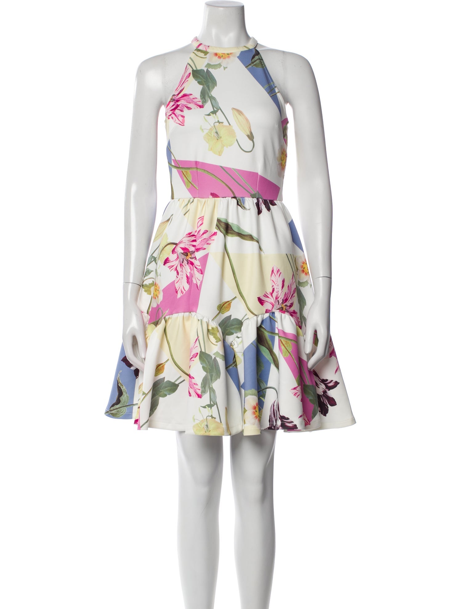 Ted Baker Floral Print Mini Dress