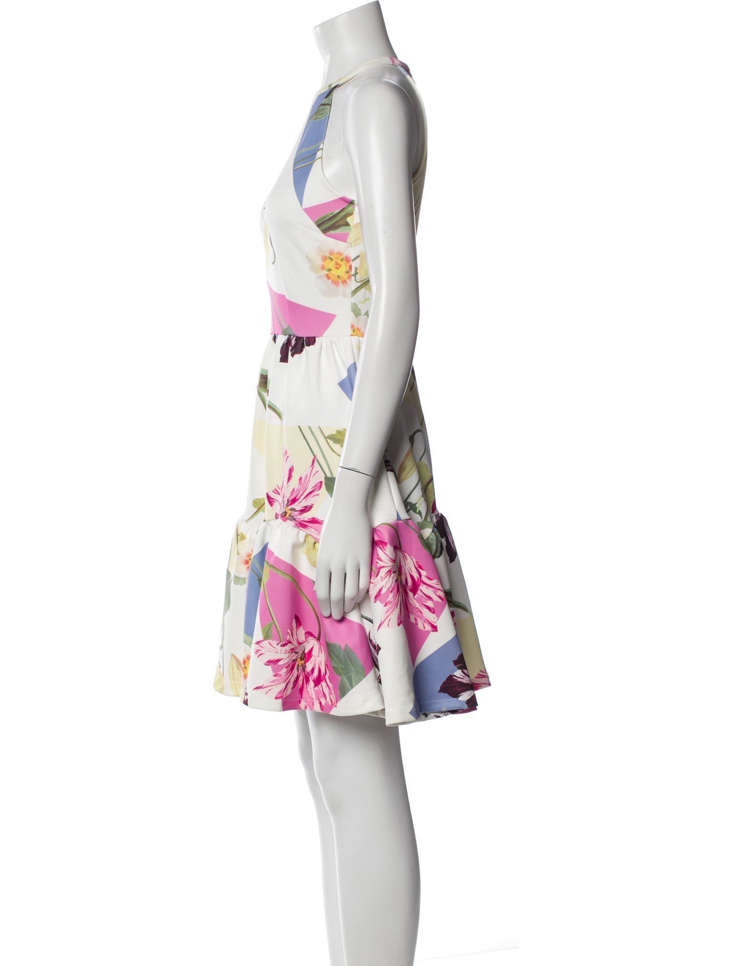 Ted Baker Floral Print Mini Dress