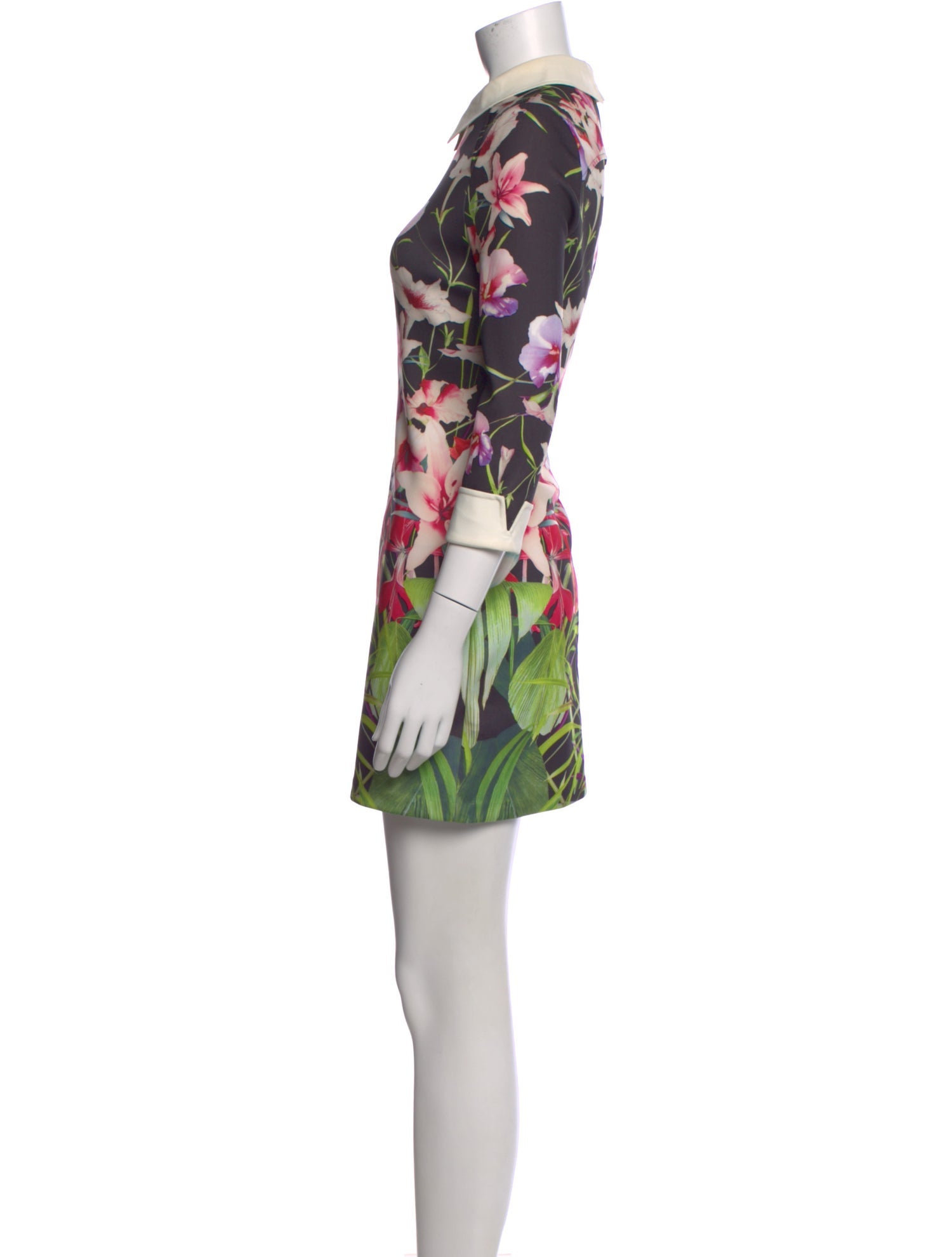 Ted Baker Floral Print Mini Dress