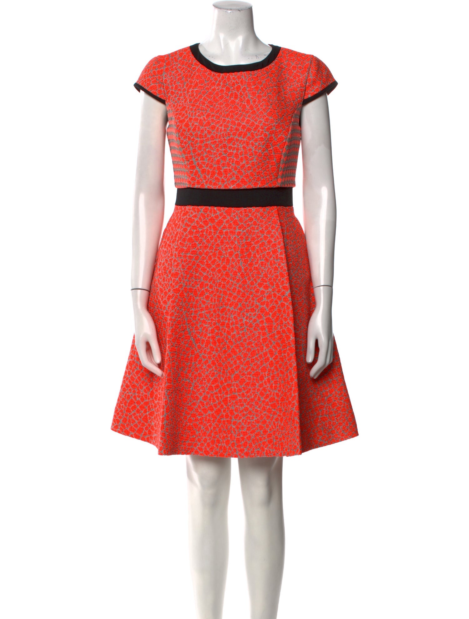 Ted Baker Printed Knee-Length Dress w/ Tags