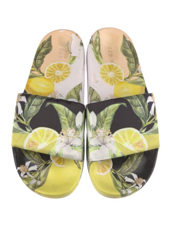 Ted Baker Printed Slides