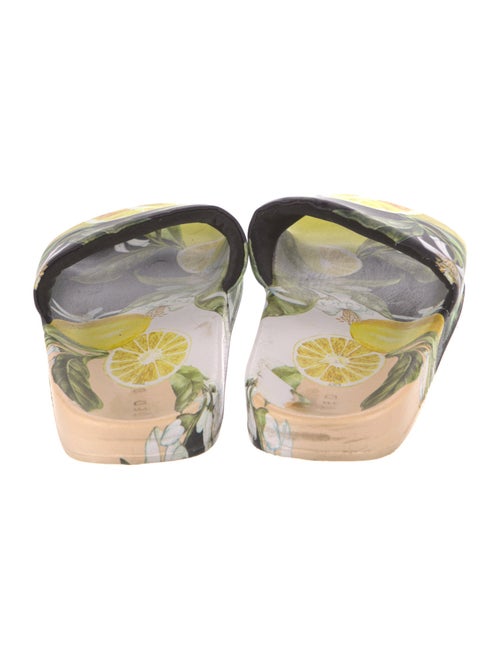 Ted Baker Printed Slides