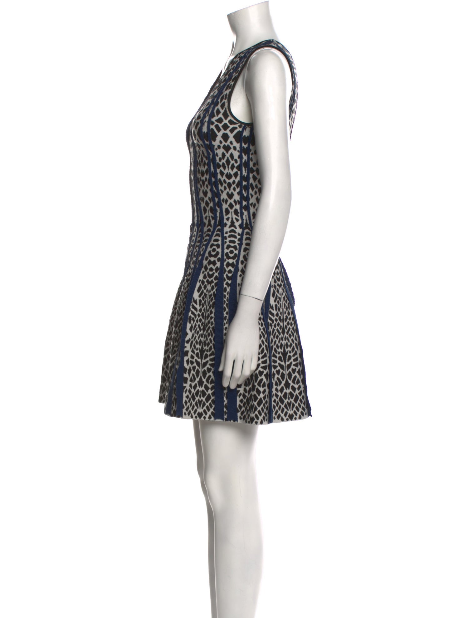 RVN Printed Mini Dress