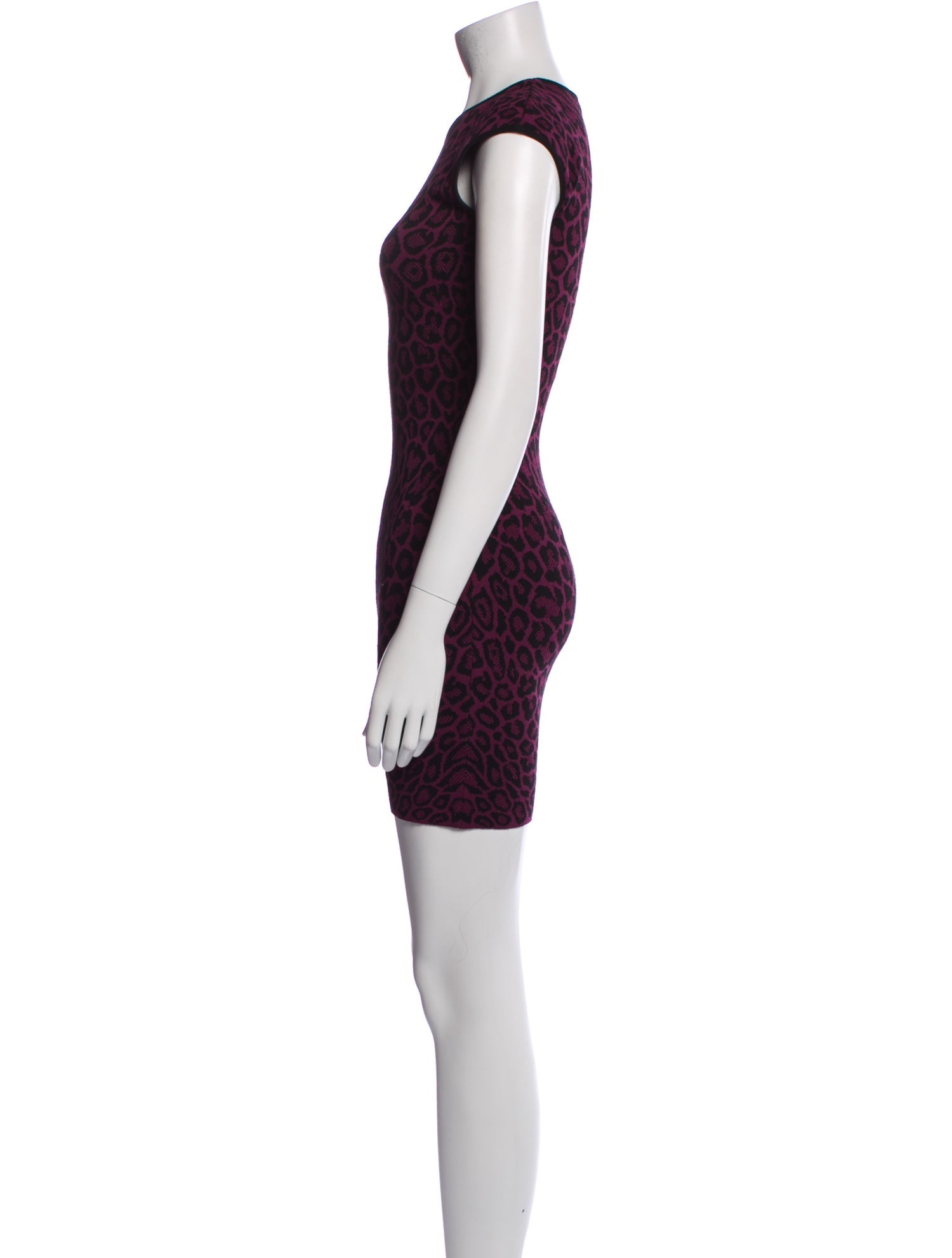 RVN Animal Print Mini Dress