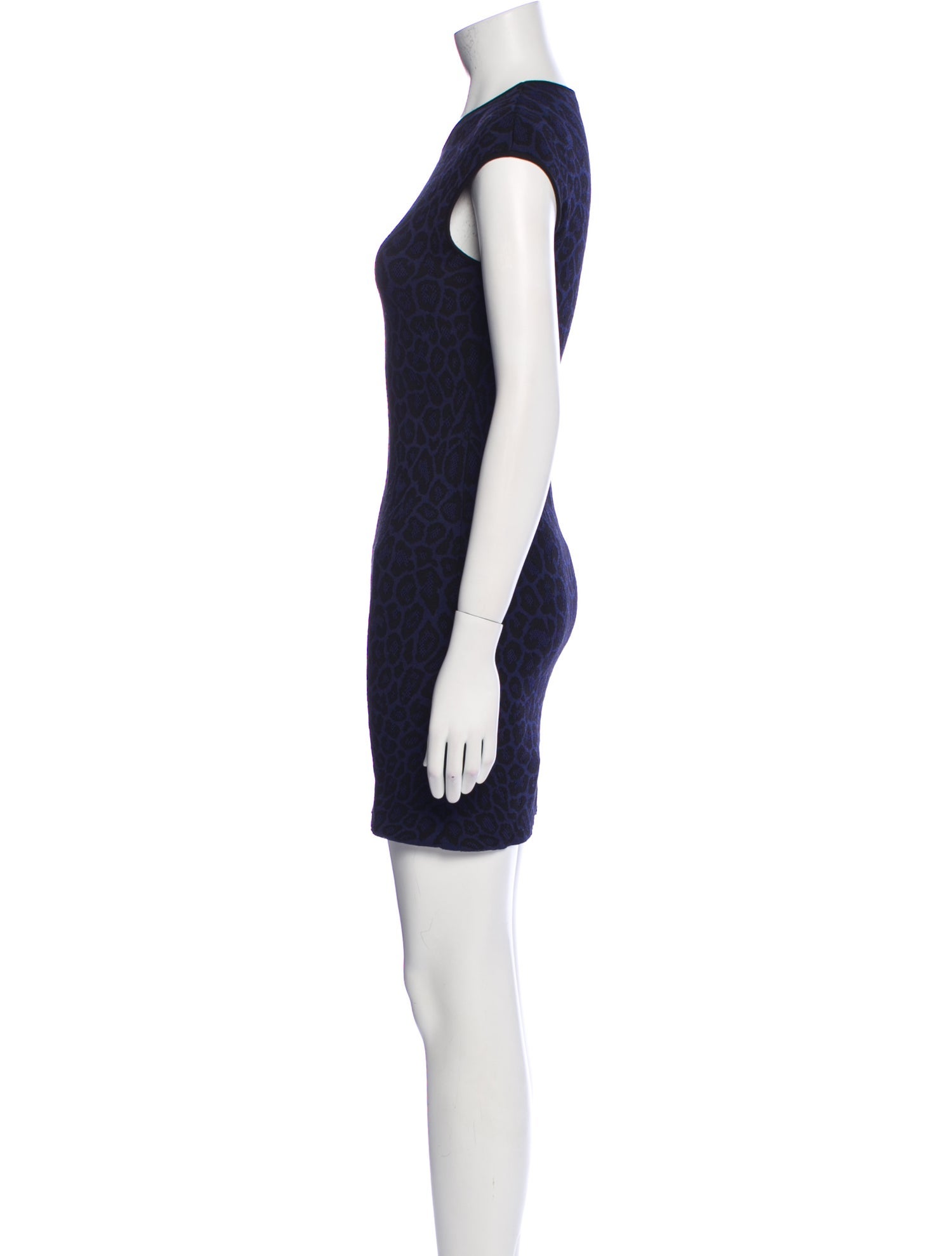 RVN Animal Print Mini Dress