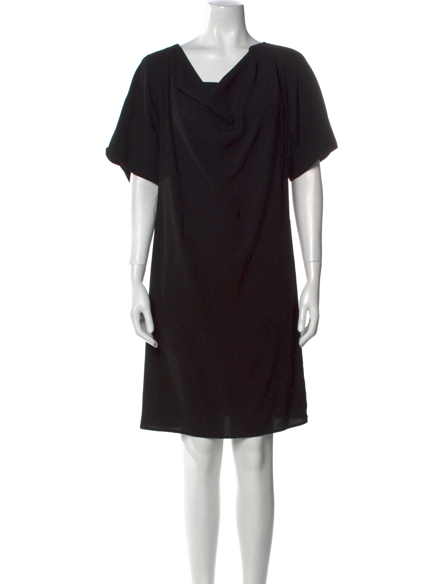 Agnes B. Cowl Neck Mini Dress