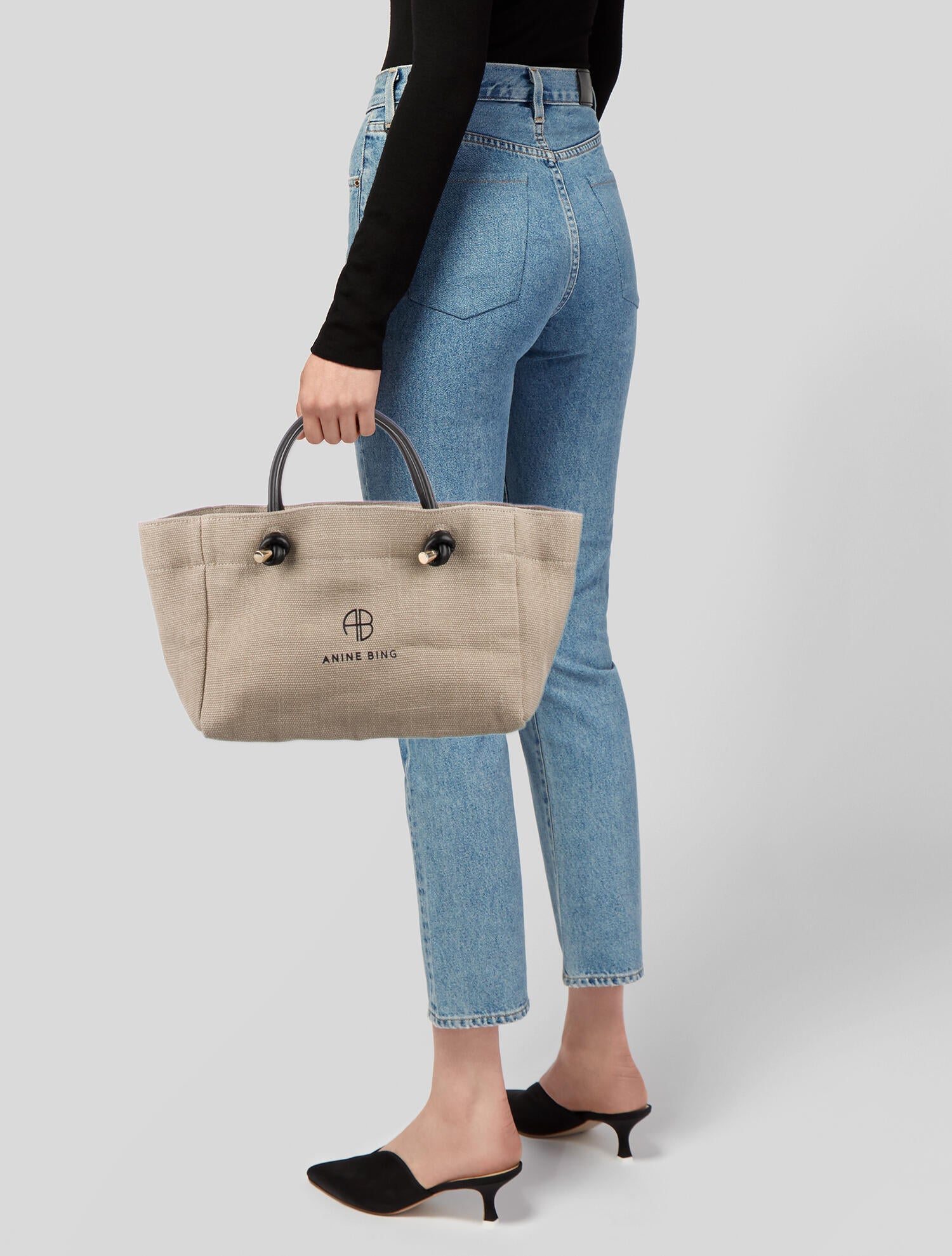 anine bing canvas tote