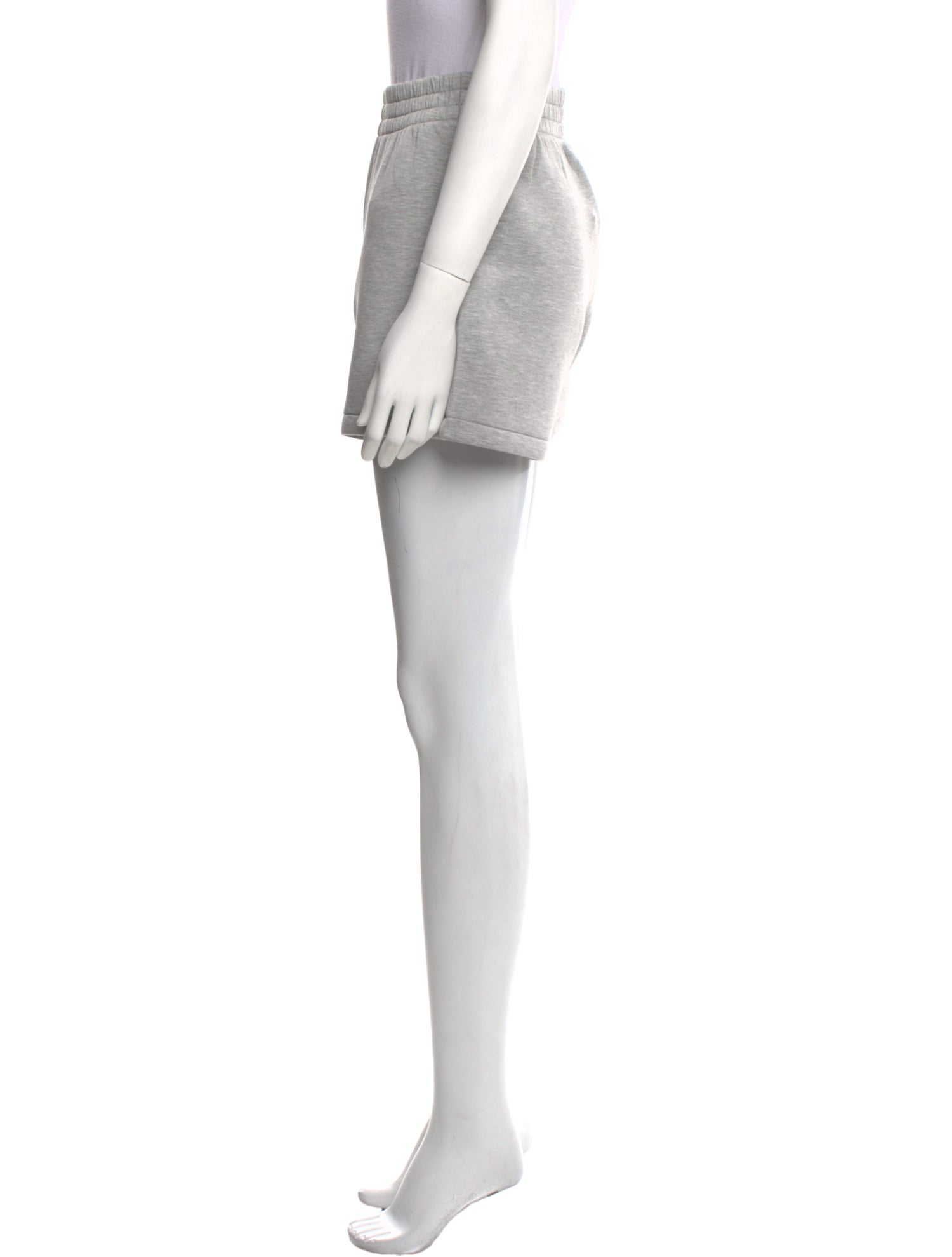 Anine Bing Mini Shorts w/ Tags