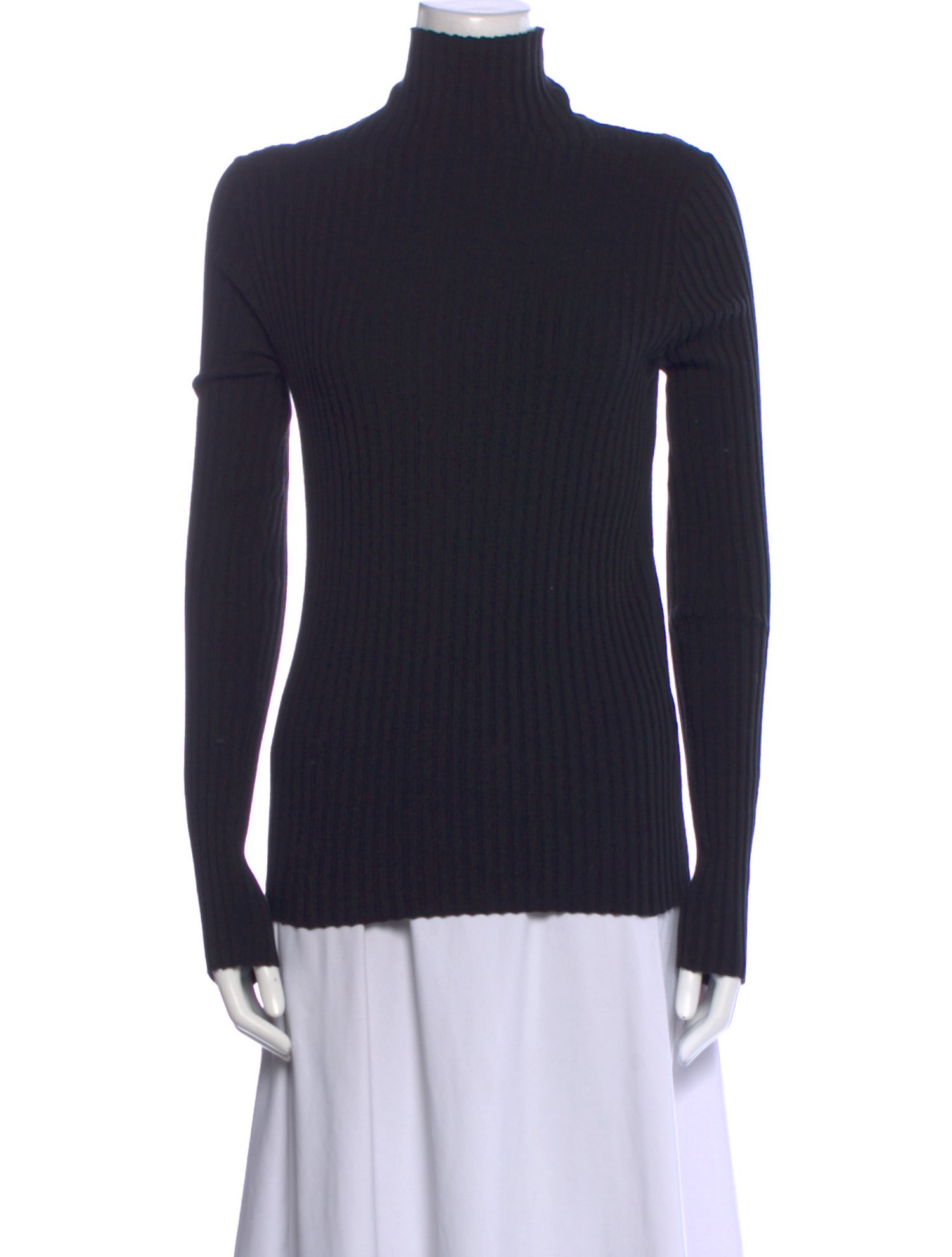 Anine Bing Turtleneck Long Sleeve Sweatshirt