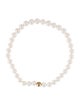 Anine Bing 14K Pearl Bead Strand Necklace