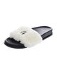 Anine Bing Fur Fur Trim Slides