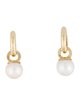 Anine Bing 14K Pearl Drop Earrings