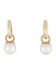 Anine Bing 14K Pearl Drop Earrings