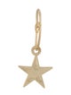 Anine Bing 14K Star Drop Single Earring