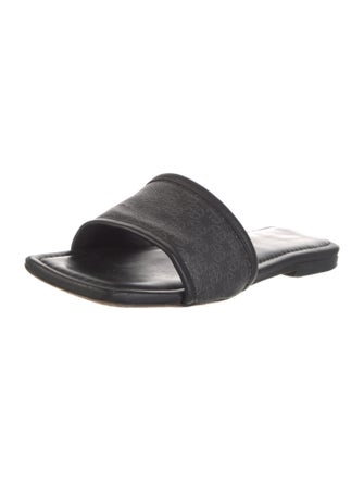 Anine Bing Leather Slides