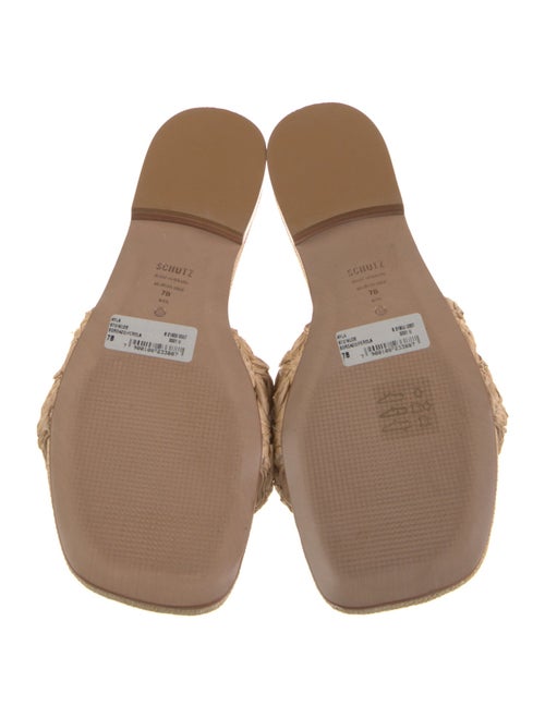 Schutz Straw Slides