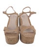 Schutz Suede Espadrilles