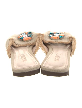 Schutz Canvas Slides