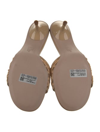 Schutz Raffia Mesh Accents Slides