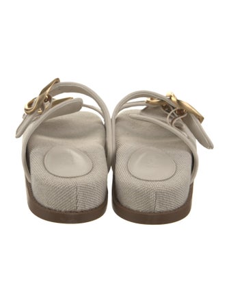 Schutz Canvas Slides