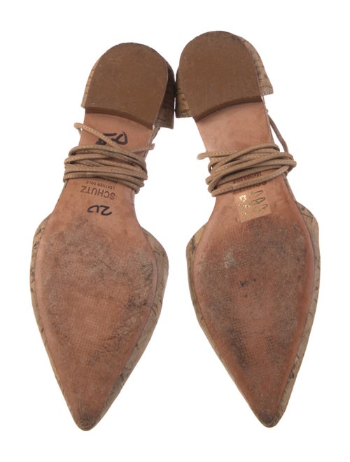 Schutz Ballet Flats