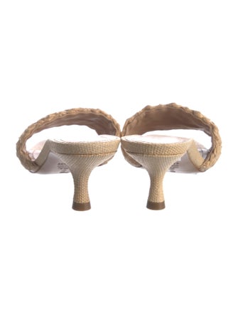 Schutz Raffia Slides