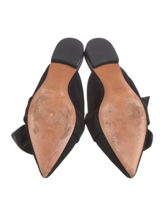 Schutz Suede Mules