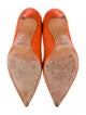 Schutz Suede Pumps