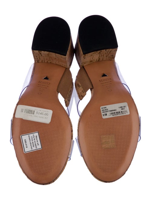 Schutz Printed Slides