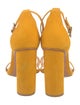 Schutz Suede Sandals
