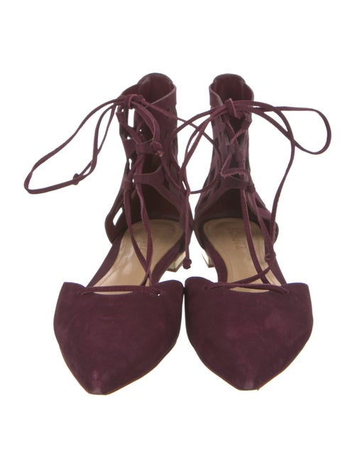 Schutz Suede Flats