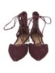 Schutz Suede Flats