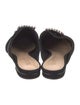 Schutz Suede Mules