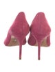 Schutz Suede Pumps