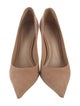 Schutz Suede Pumps