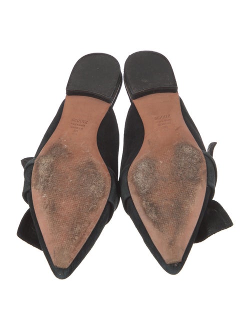 Schutz Suede Mules
