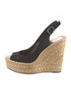 Schutz Suede Espadrilles