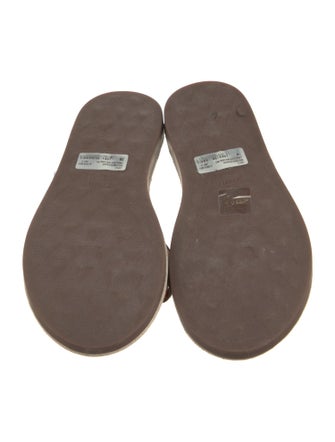 Schutz Printed Slides