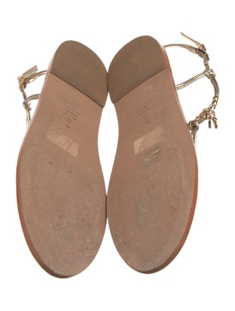 Schutz Leather T-Strap Sandals