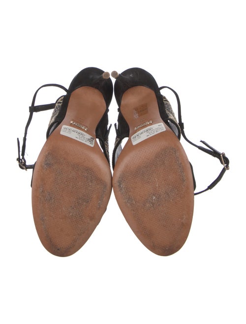 Schutz Suede Printed T-Strap Sandals