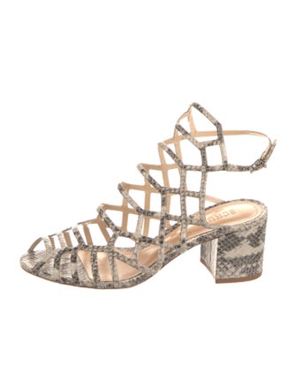 Schutz Snakeskin Animal Print Gladiator Sandals