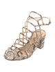 Schutz Snakeskin Animal Print Gladiator Sandals