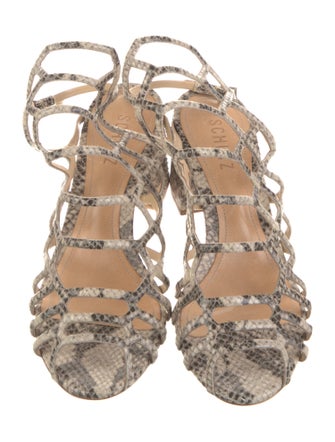Schutz Snakeskin Animal Print Gladiator Sandals